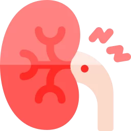 Kidney failure
