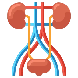 Ureteral injury