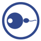 rectile dysfunction (ED)/Fertility
